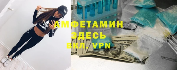 ПСИЛОЦИБИНОВЫЕ ГРИБЫ Алексеевка