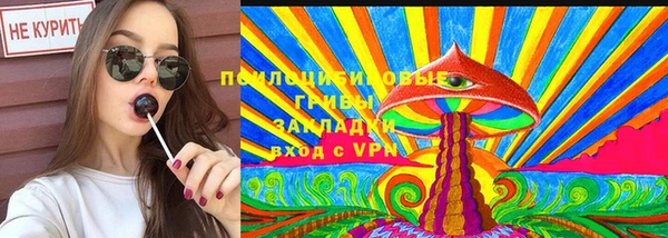 ПСИЛОЦИБИНОВЫЕ ГРИБЫ Алексеевка