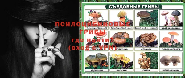 ПСИЛОЦИБИНОВЫЕ ГРИБЫ Алексеевка