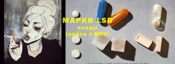 ПСИЛОЦИБИНОВЫЕ ГРИБЫ Алексеевка